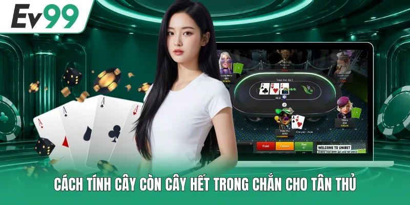 Cách Tính Cây Còn Cây Hết Trong Chắn Chuẩn Xác Và Thắng Đậm 2 Cách tính cây còn cây hết trong Chắn cho tân thủ